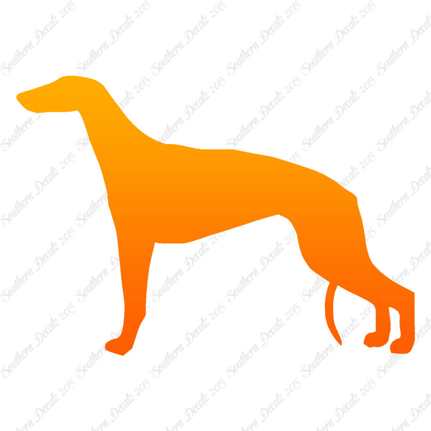 Greyhound Dog Breed
