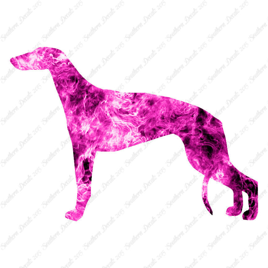 Greyhound Dog Breed