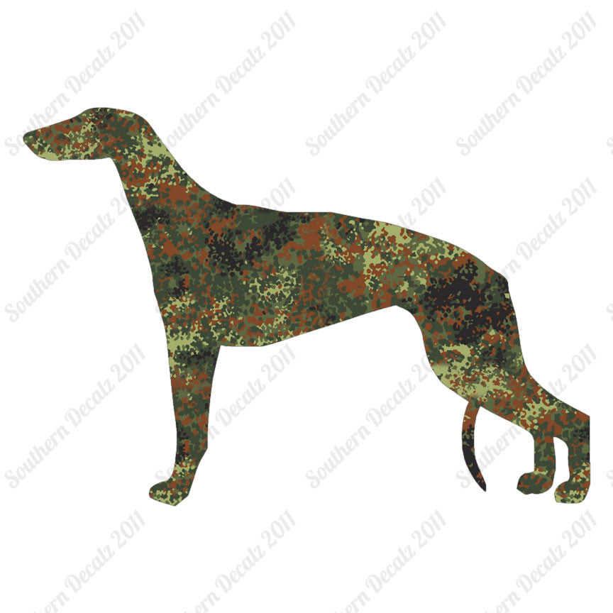 Greyhound Dog Breed