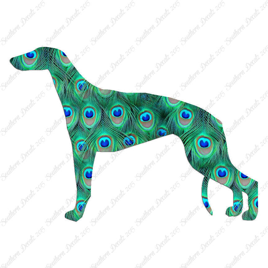 Greyhound Dog Breed