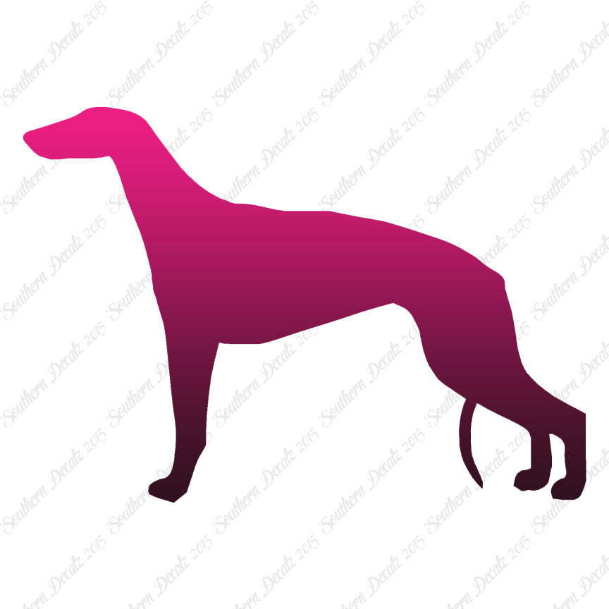 Greyhound Dog Breed
