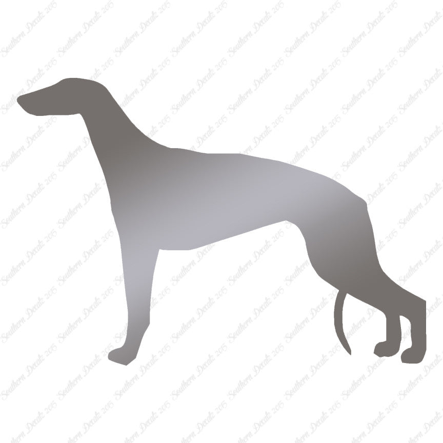Greyhound Dog Breed