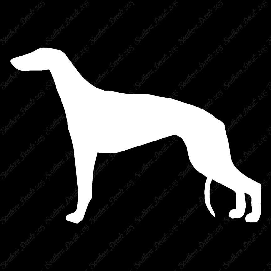 Greyhound Dog Breed