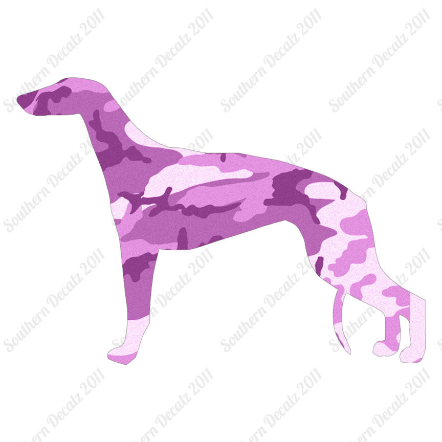 Greyhound Dog Breed