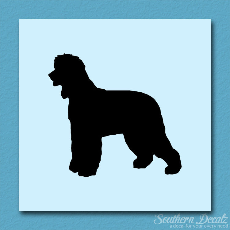 Irish Water Spaniel Dog Breed