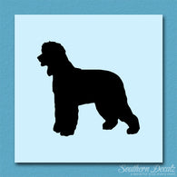 Irish Water Spaniel Dog Breed