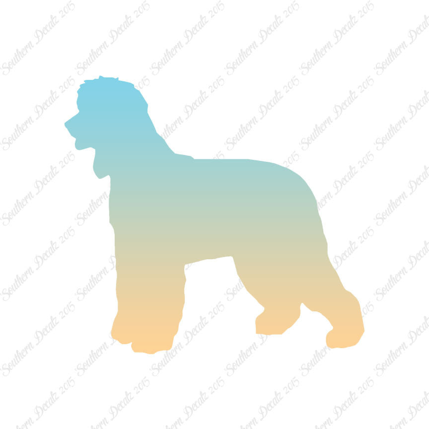 Irish Water Spaniel Dog Breed