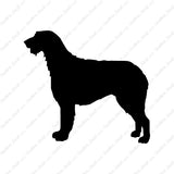 Irish Wolfhound Dog Breed