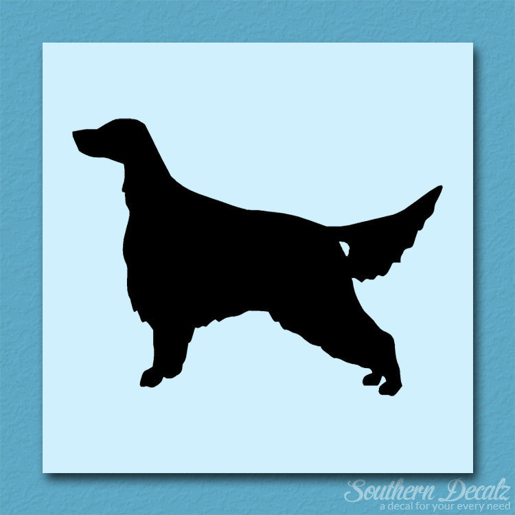 Irish Setter Dog Breed