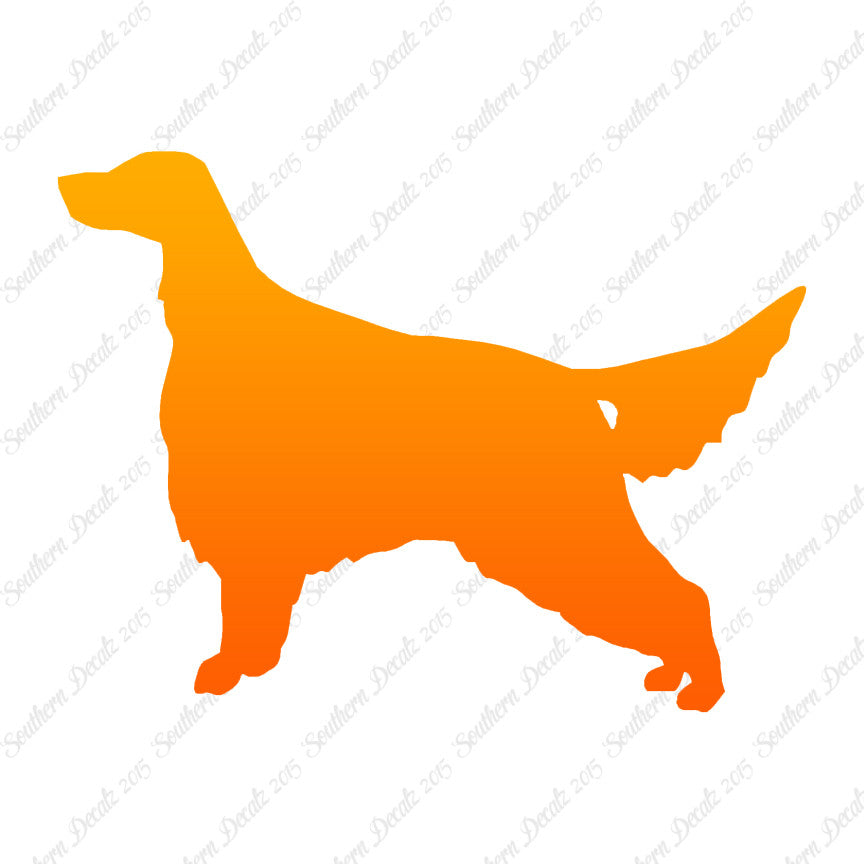 Irish Setter Dog Breed
