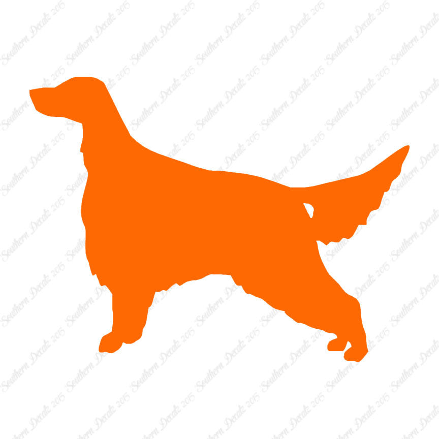 Irish Setter Dog Breed