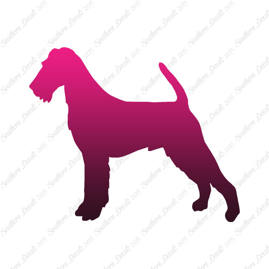 Irish Terrier Dog Breed