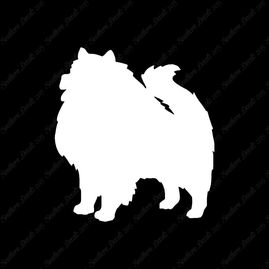 Keeshond Dog Breed
