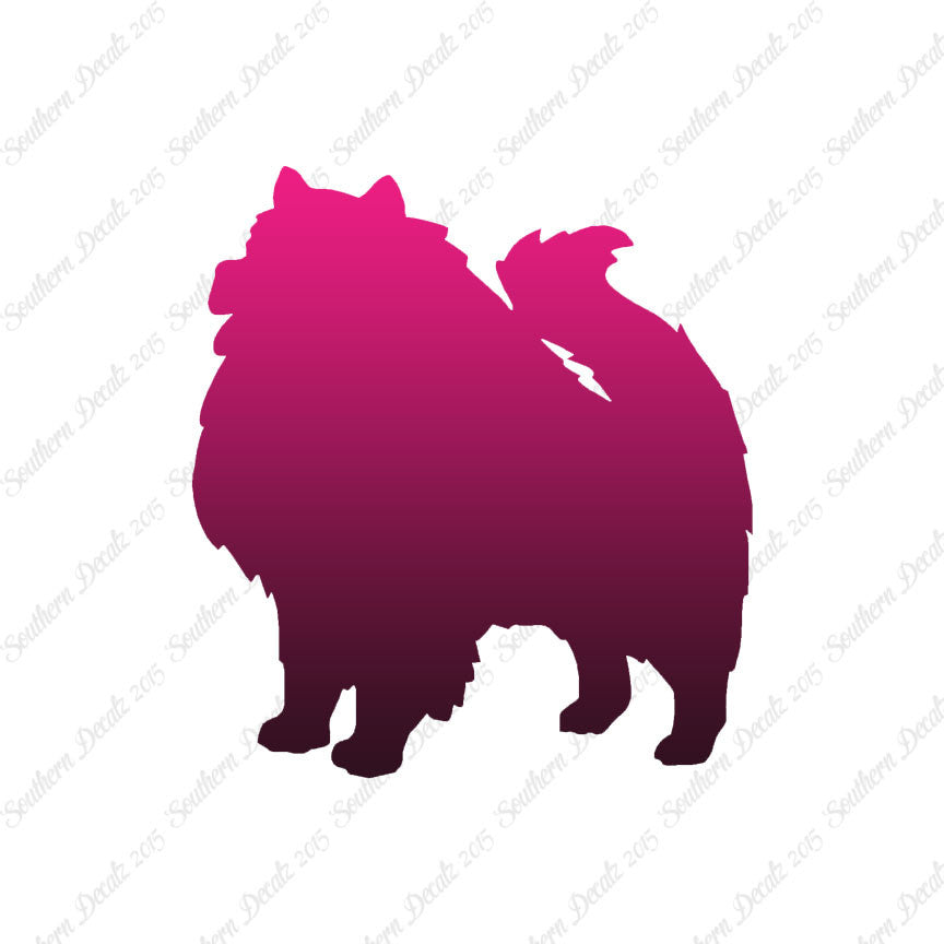 Keeshond Dog Breed