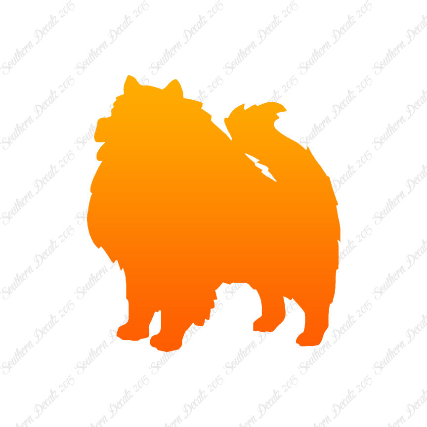 Keeshond Dog Breed