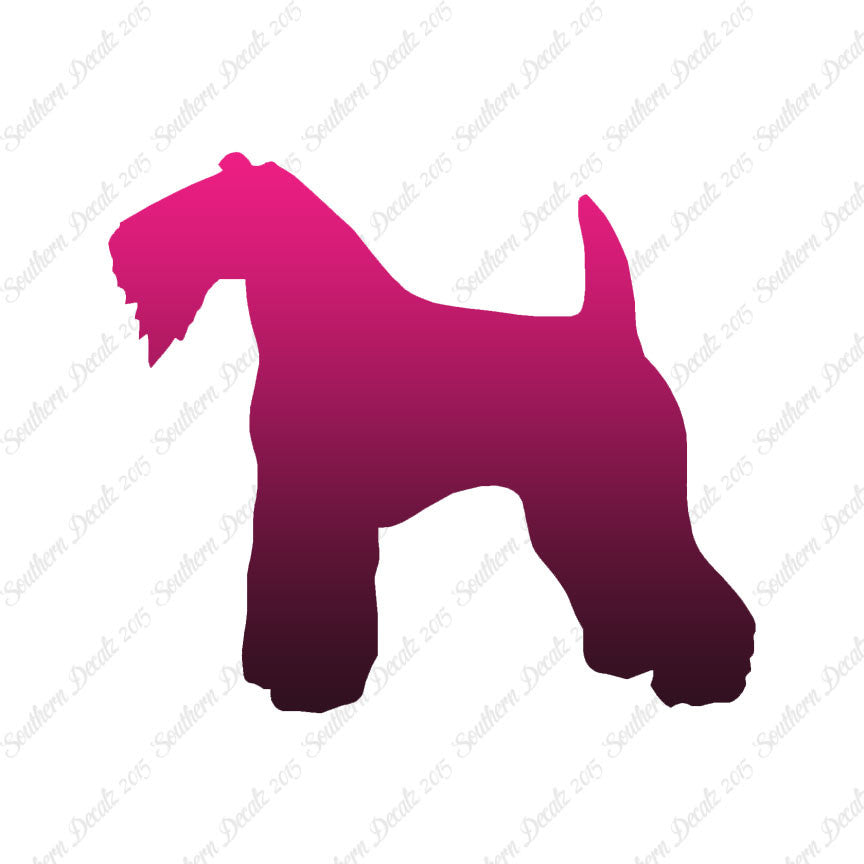 Kerry Blue Terrier Dog Breed