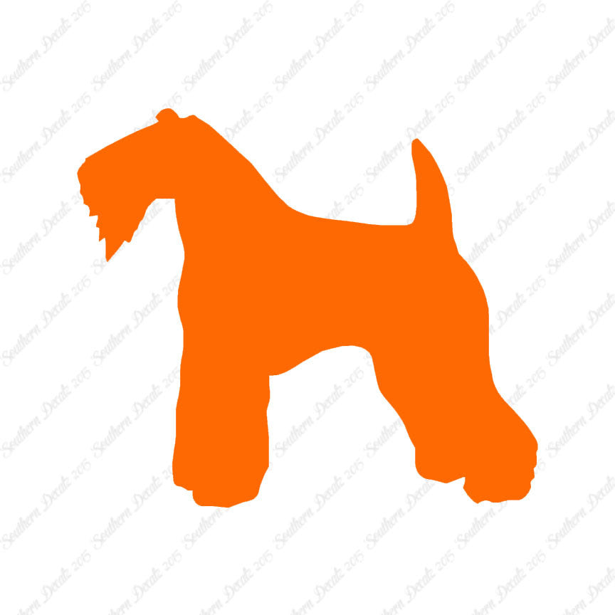 Kerry Blue Terrier Dog Breed