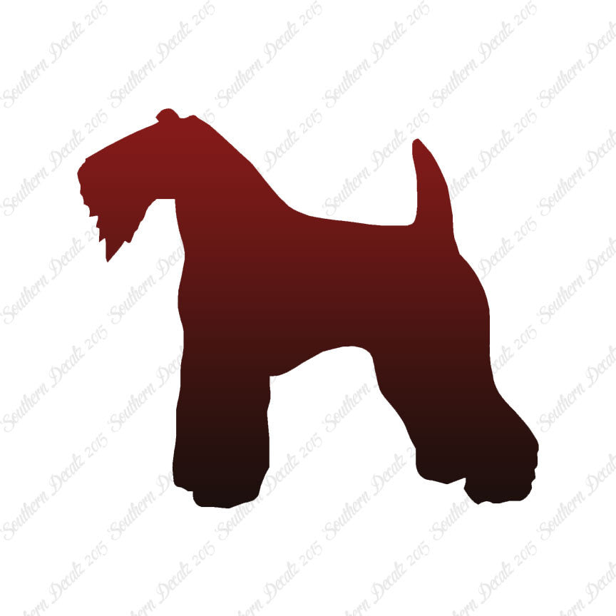 Kerry Blue Terrier Dog Breed