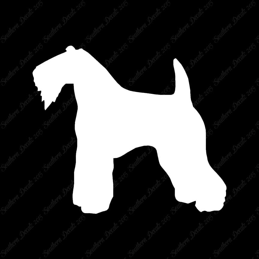 Kerry Blue Terrier Dog Breed