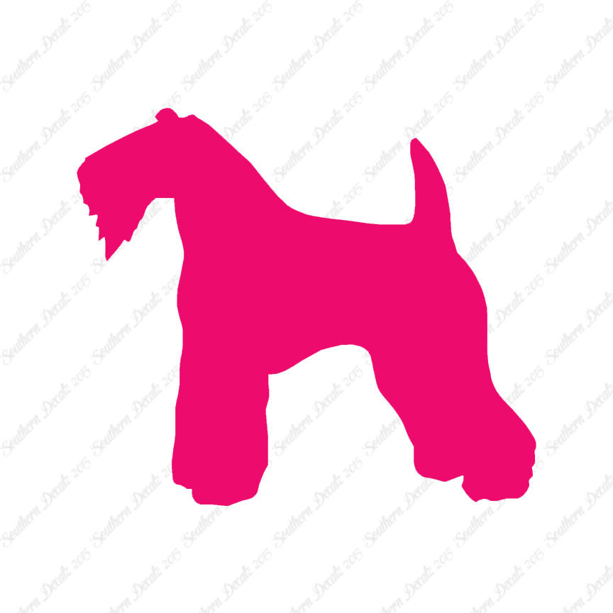 Kerry Blue Terrier Dog Breed