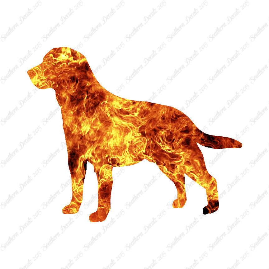 Labrador Terrier Dog Breed