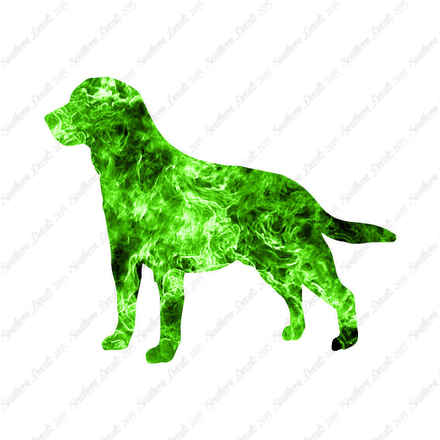 Labrador Terrier Dog Breed