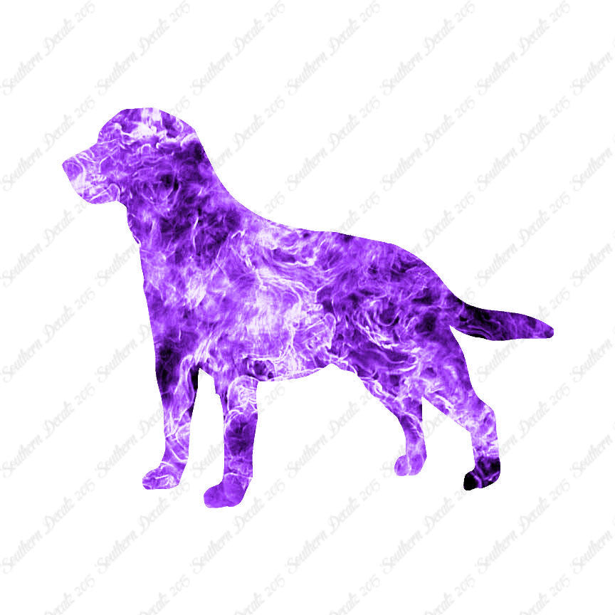 Labrador Terrier Dog Breed