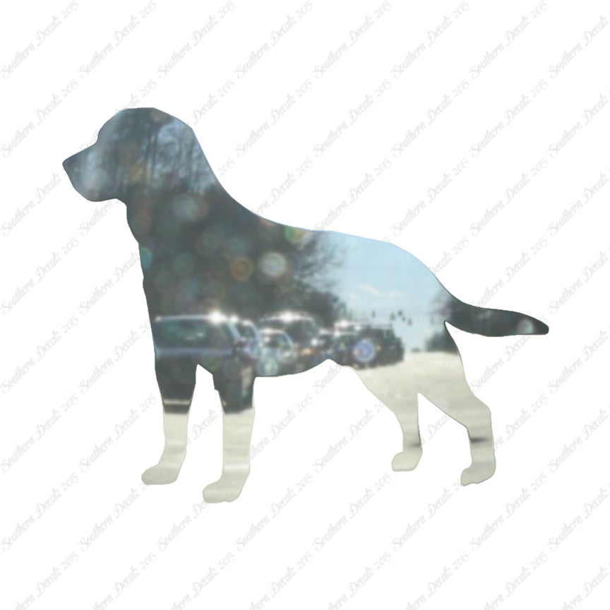 Labrador Terrier Dog Breed