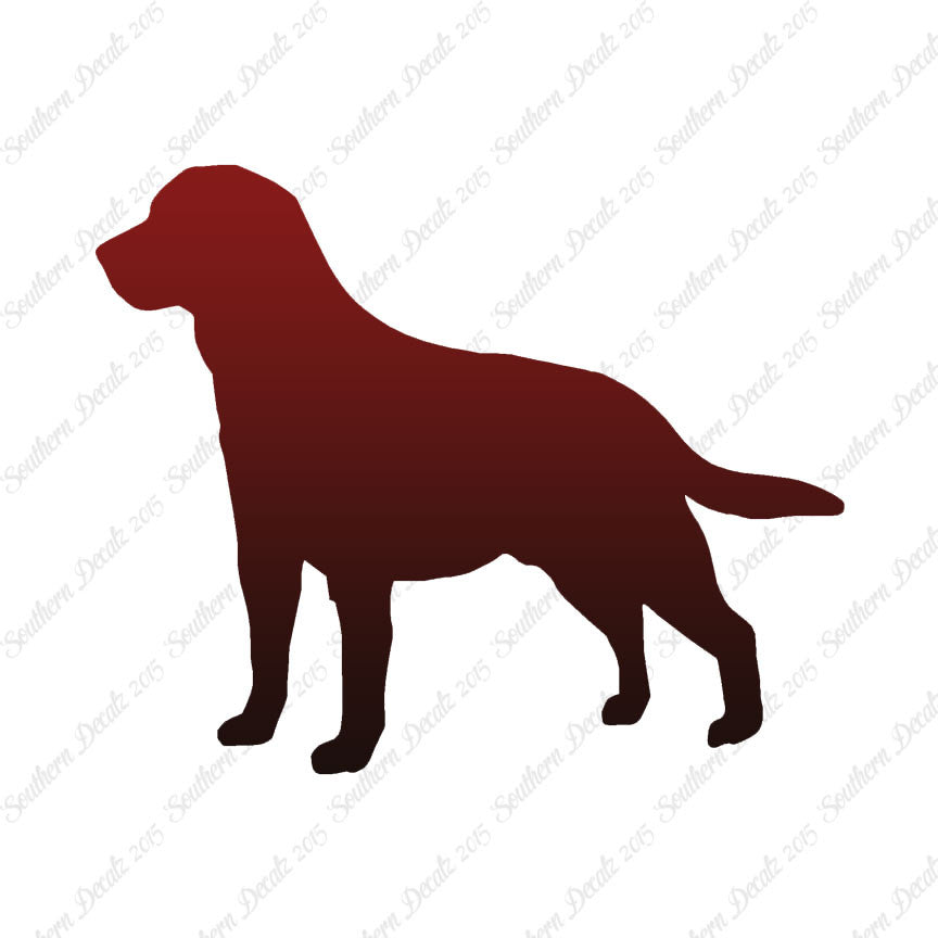 Labrador Terrier Dog Breed