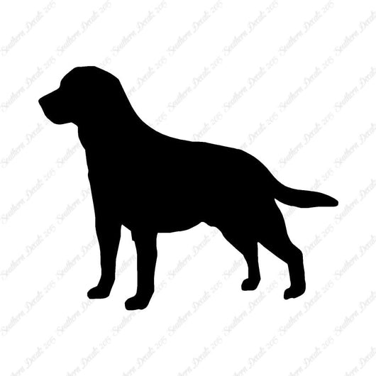 Labrador Terrier Dog Breed