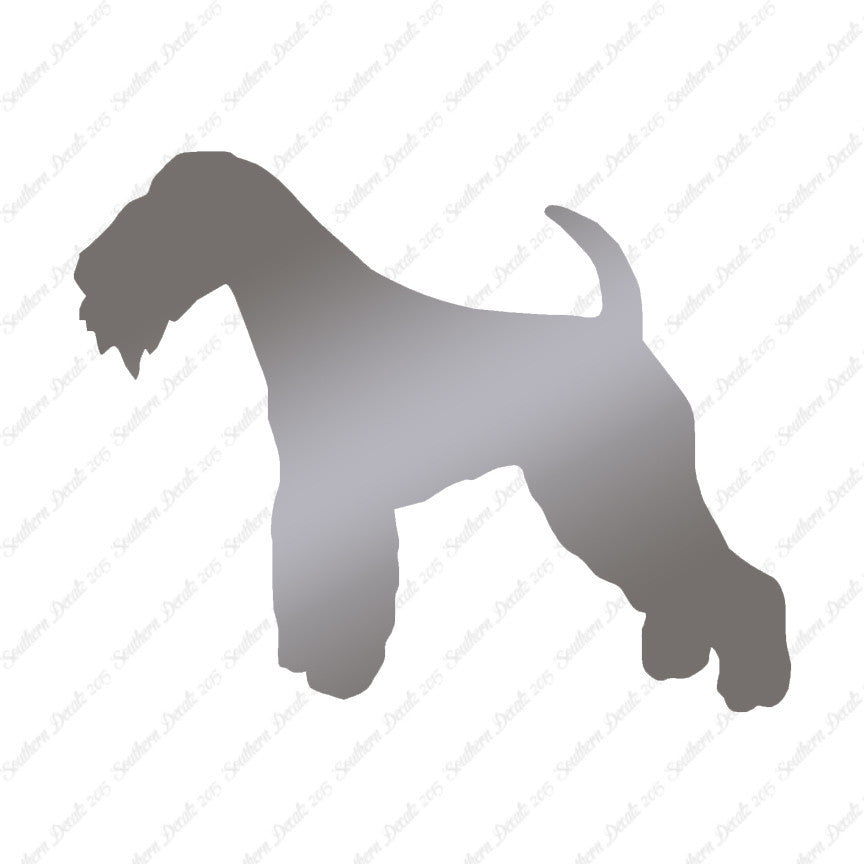 Lakeland Terrier Dog Breed
