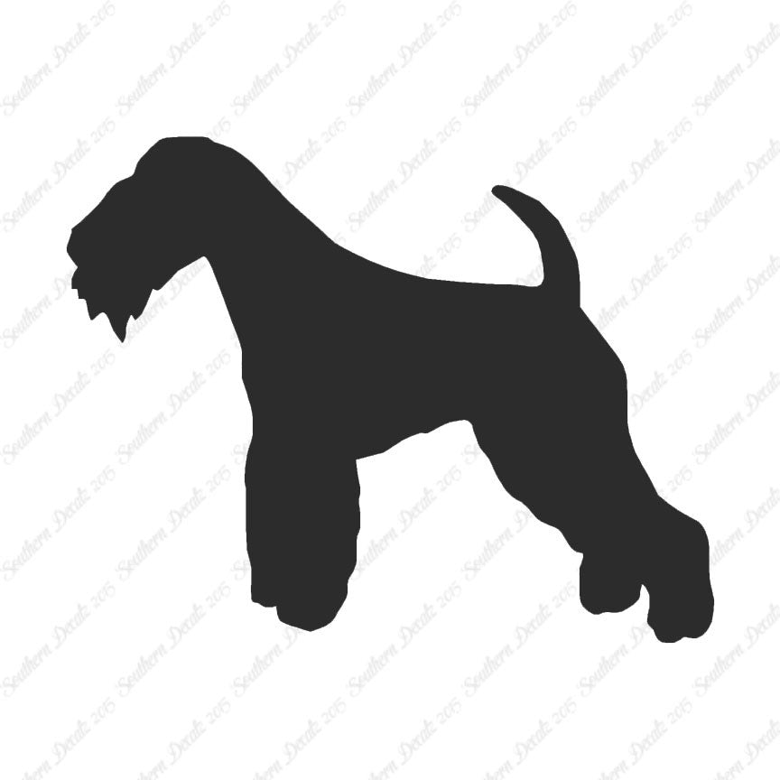 Lakeland Terrier Dog Breed