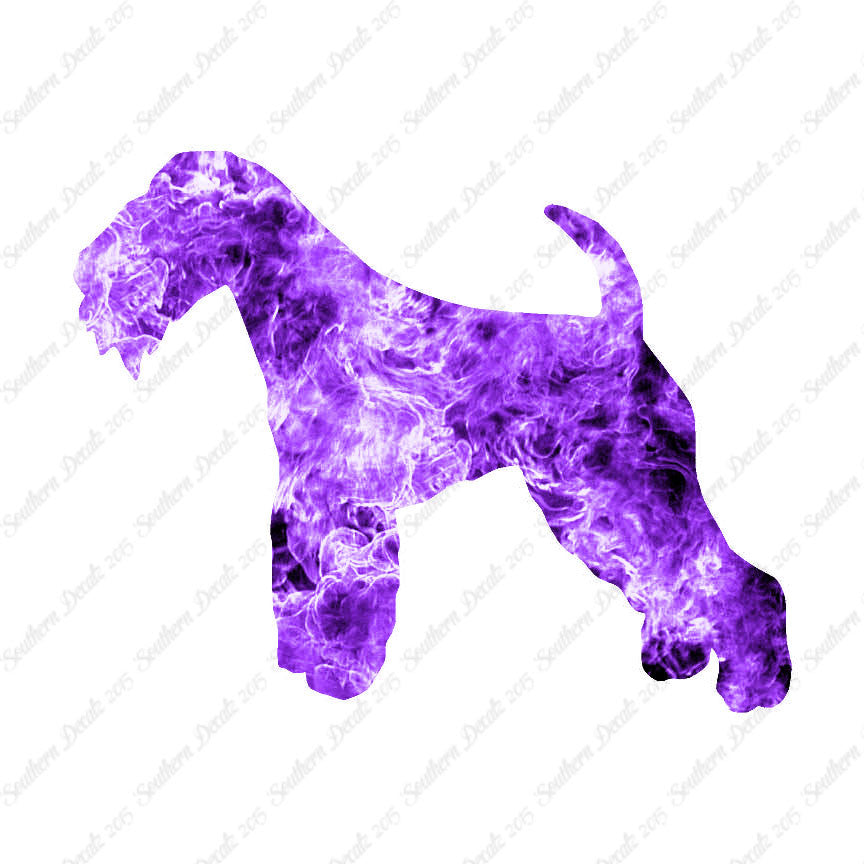 Lakeland Terrier Dog Breed