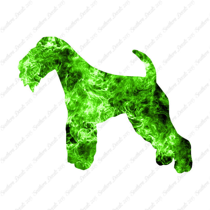 Lakeland Terrier Dog Breed