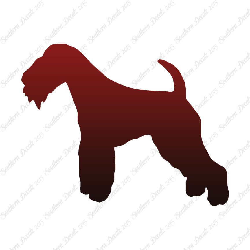 Lakeland Terrier Dog Breed