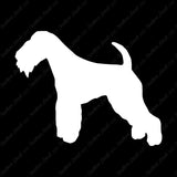 Lakeland Terrier Dog Breed