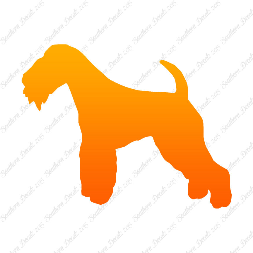 Lakeland Terrier Dog Breed