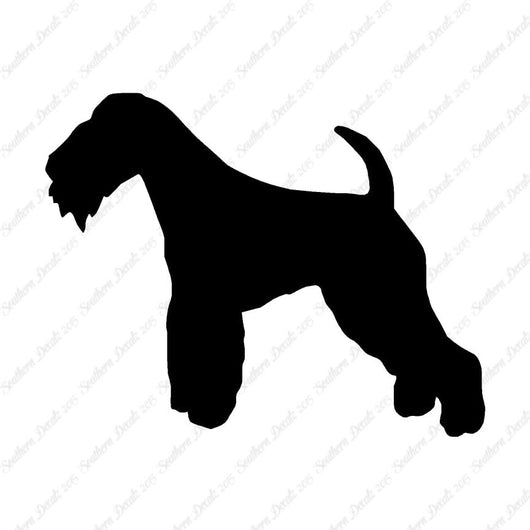 Lakeland Terrier Dog Breed