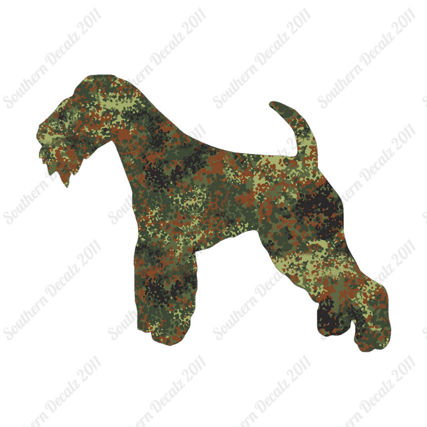 Lakeland Terrier Dog Breed