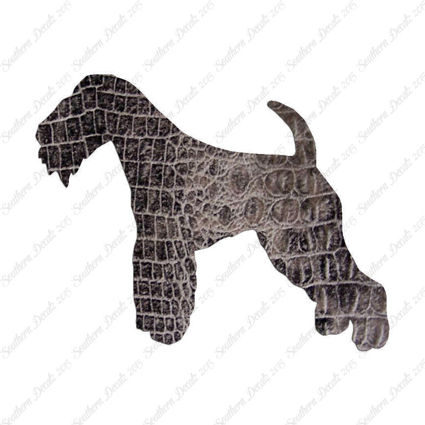 Lakeland Terrier Dog Breed