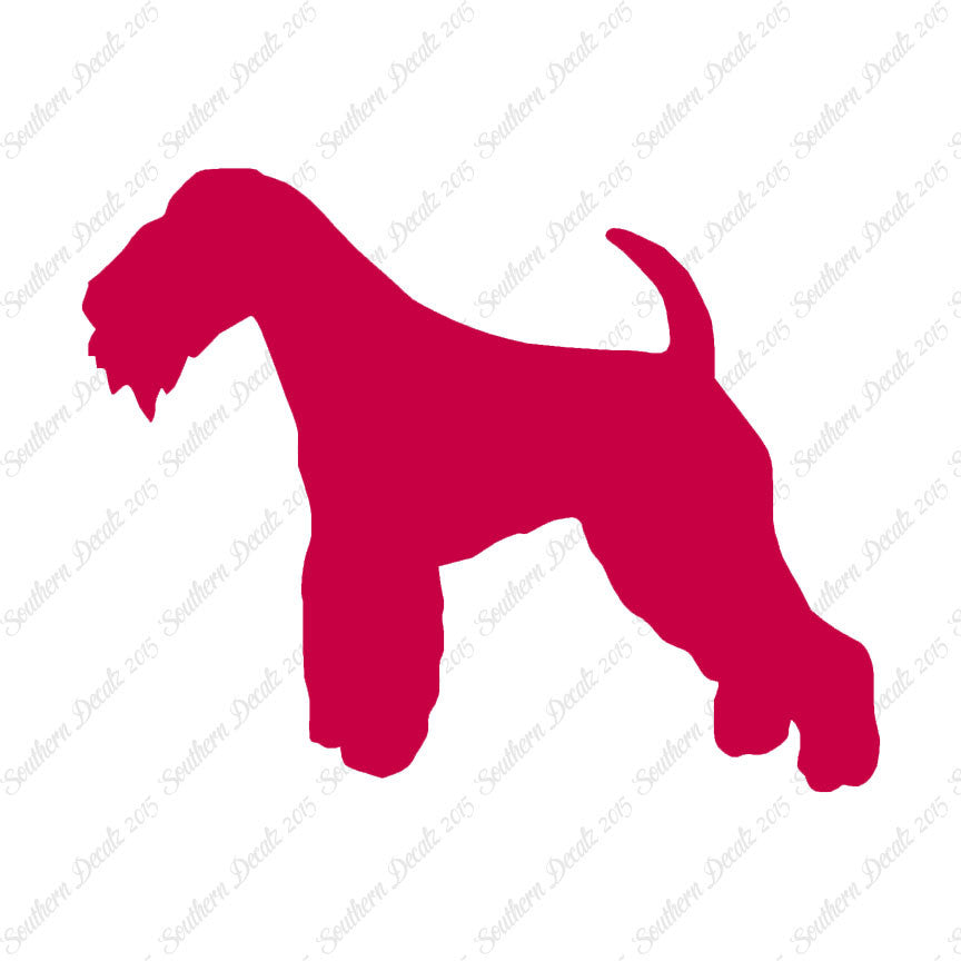 Lakeland Terrier Dog Breed