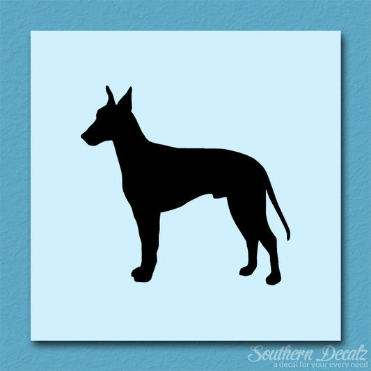 Manchester Terrier Dog Breed