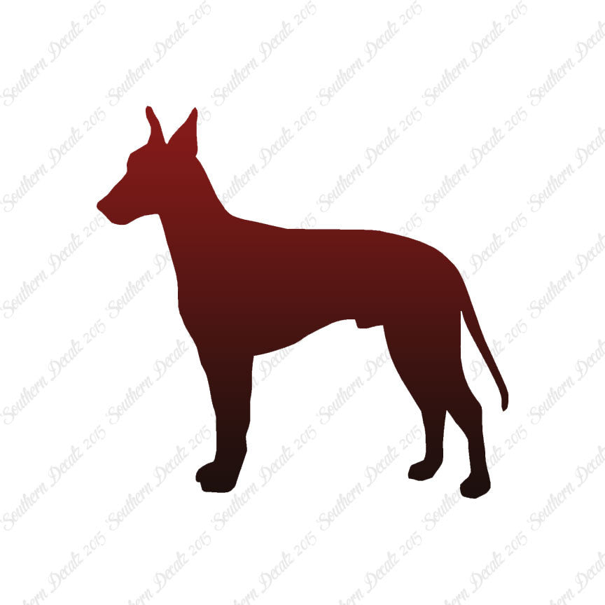 Manchester Terrier Dog Breed