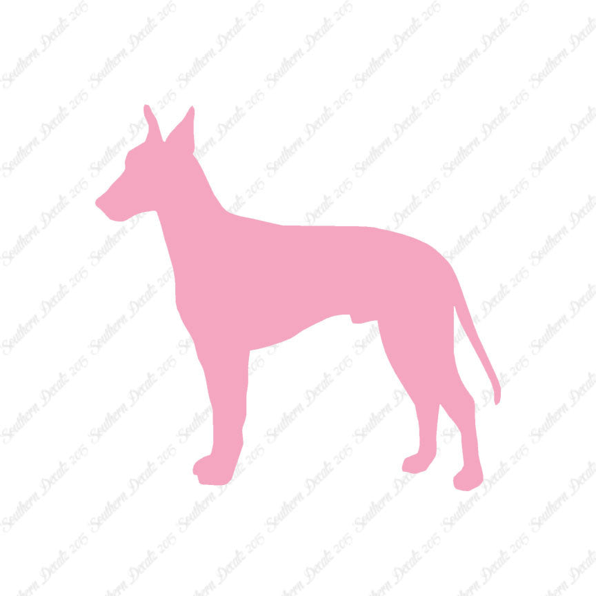Manchester Terrier Dog Breed
