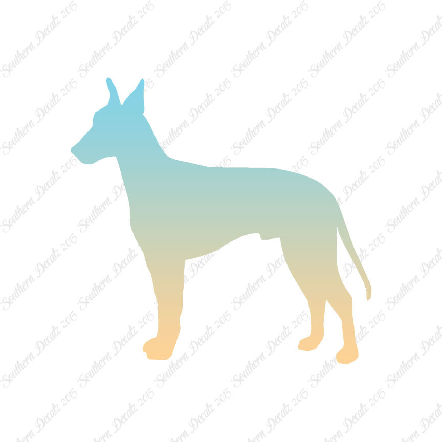 Manchester Terrier Dog Breed