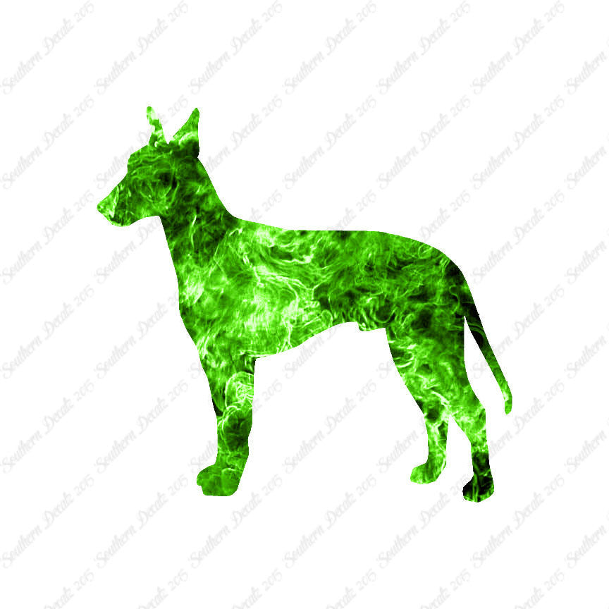 Manchester Terrier Dog Breed