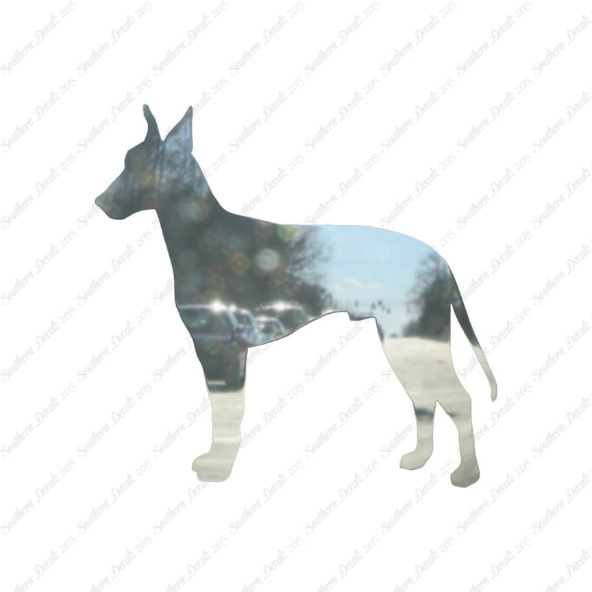 Manchester Terrier Dog Breed
