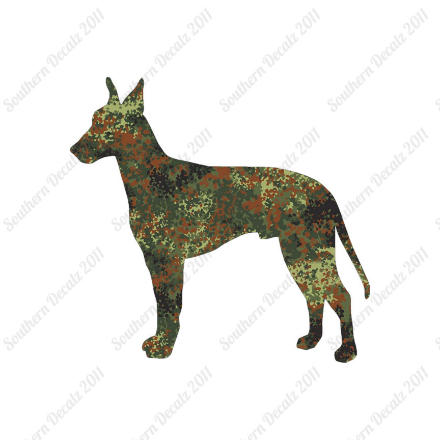 Manchester Terrier Dog Breed