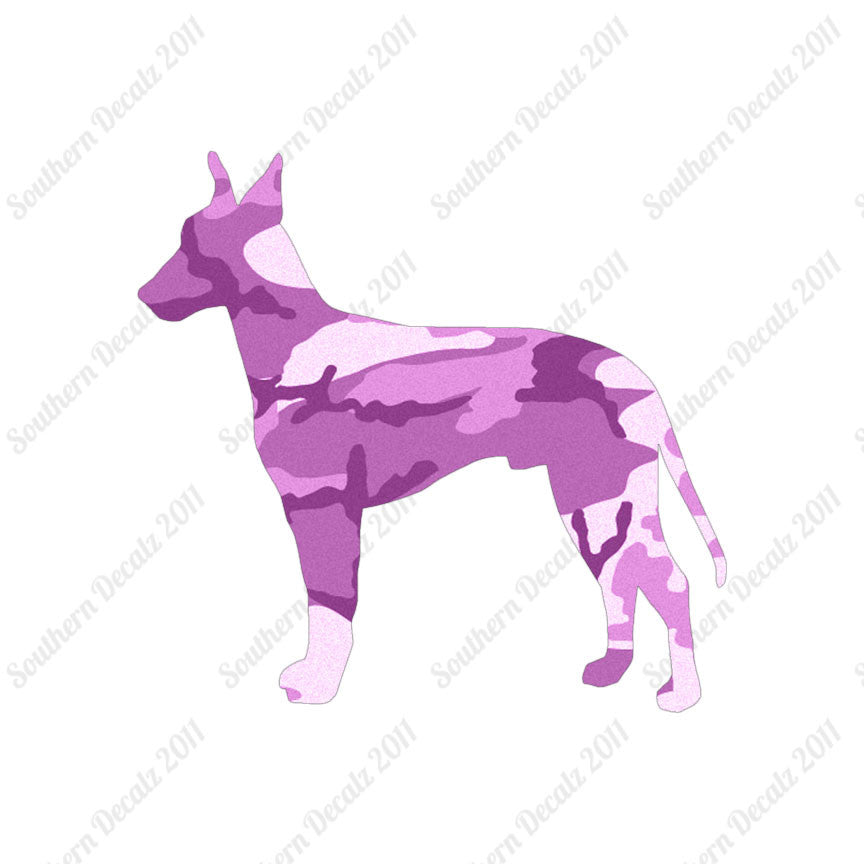 Manchester Terrier Dog Breed