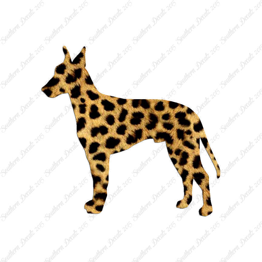 Manchester Terrier Dog Breed